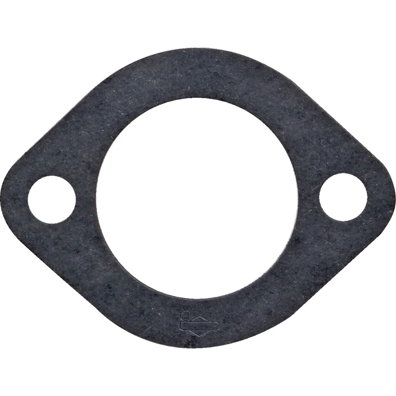 Briggs and Stratton - 692219 - Dichtung