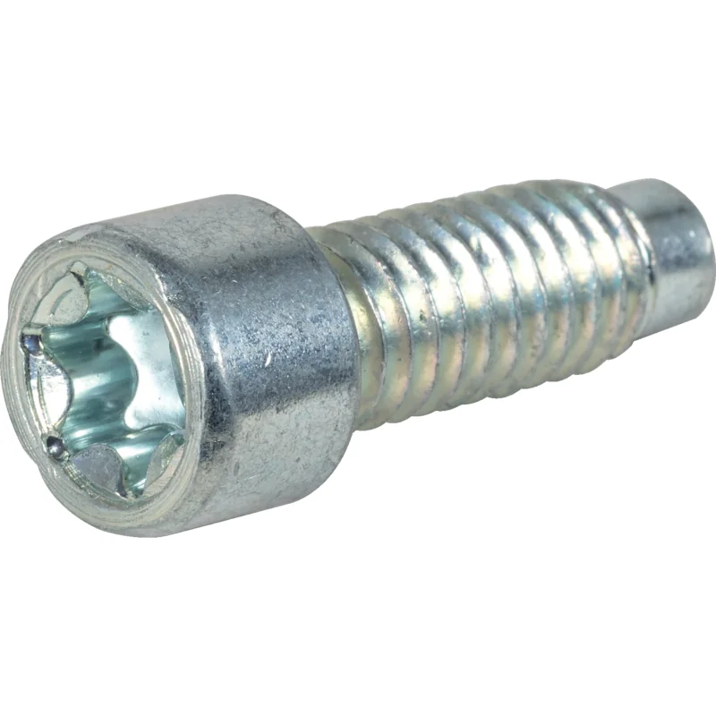 Briggs and Stratton - 698941 - Schraube