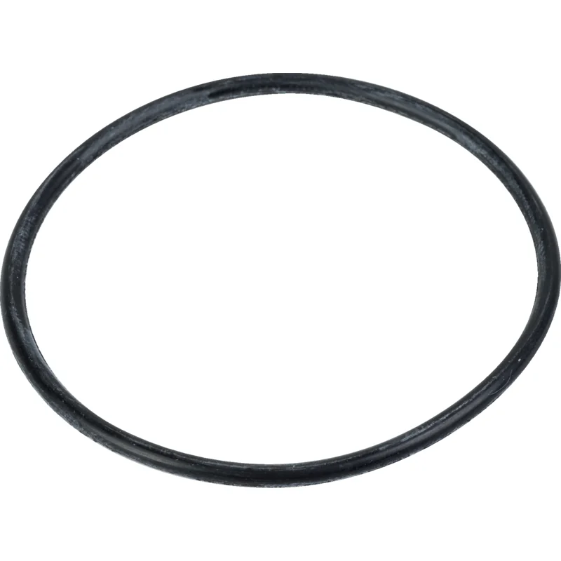 Briggs and Stratton - 793440 - Dichtring