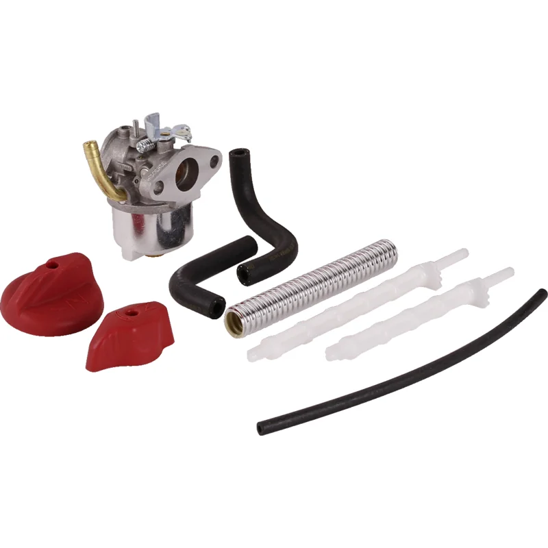 Briggs and Stratton - 794588 - Vergaser