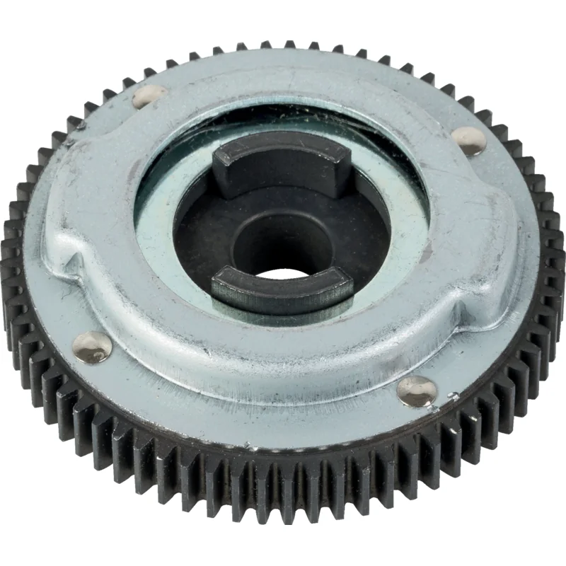 Briggs and Stratton - 795100 - Antriebszahnkranz
