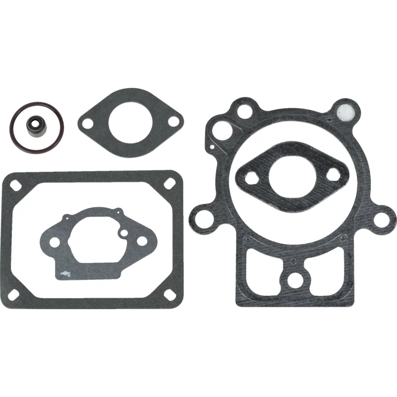 Briggs and Stratton - 798801 - Zylinderkopfdichtsatz