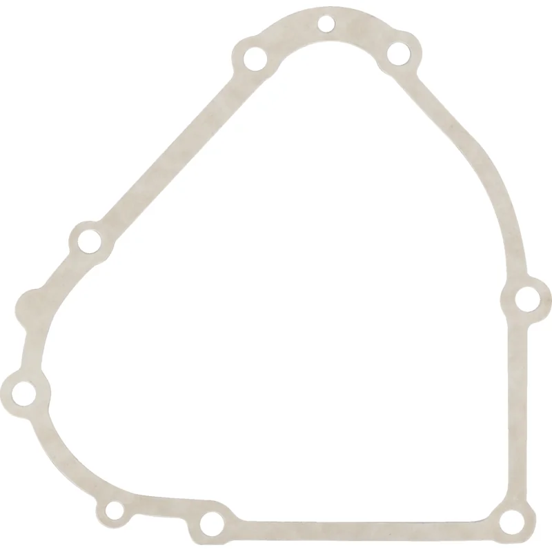 Briggs and Stratton - 798807 - Kurbelgehäusedichtung