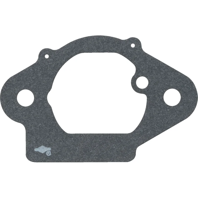Briggs and Stratton - 798962 - Luftfilterdichtung