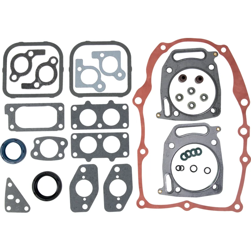 Briggs and Stratton - 842658 - Dichtungssatz