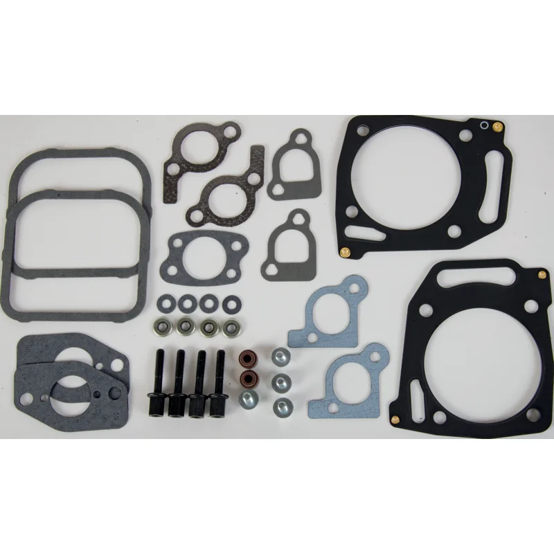 Briggs and Stratton - 842662 - Dichtungssatz