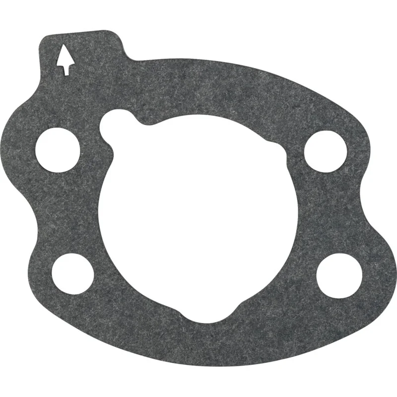 Briggs and Stratton - 844931 - Luftfilterdichtung