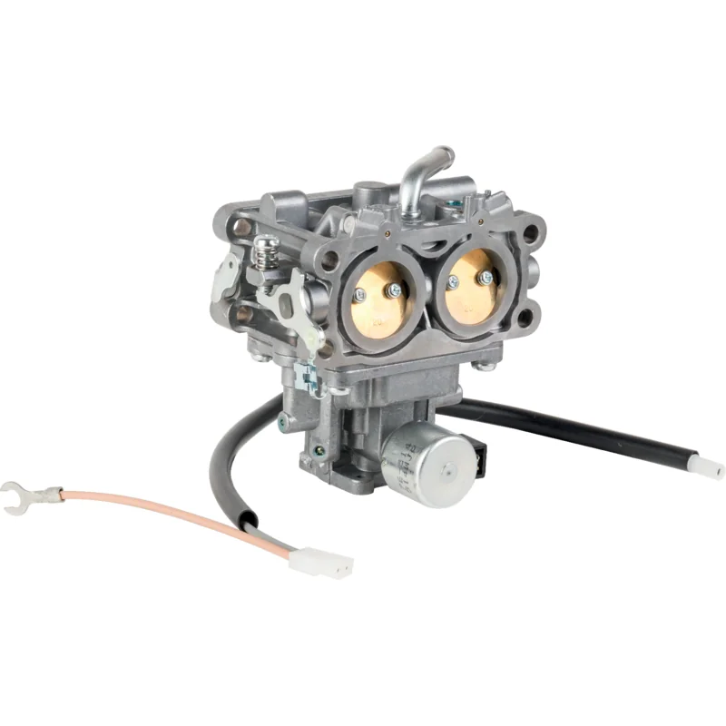 Briggs and Stratton - 845199 - Vergaser