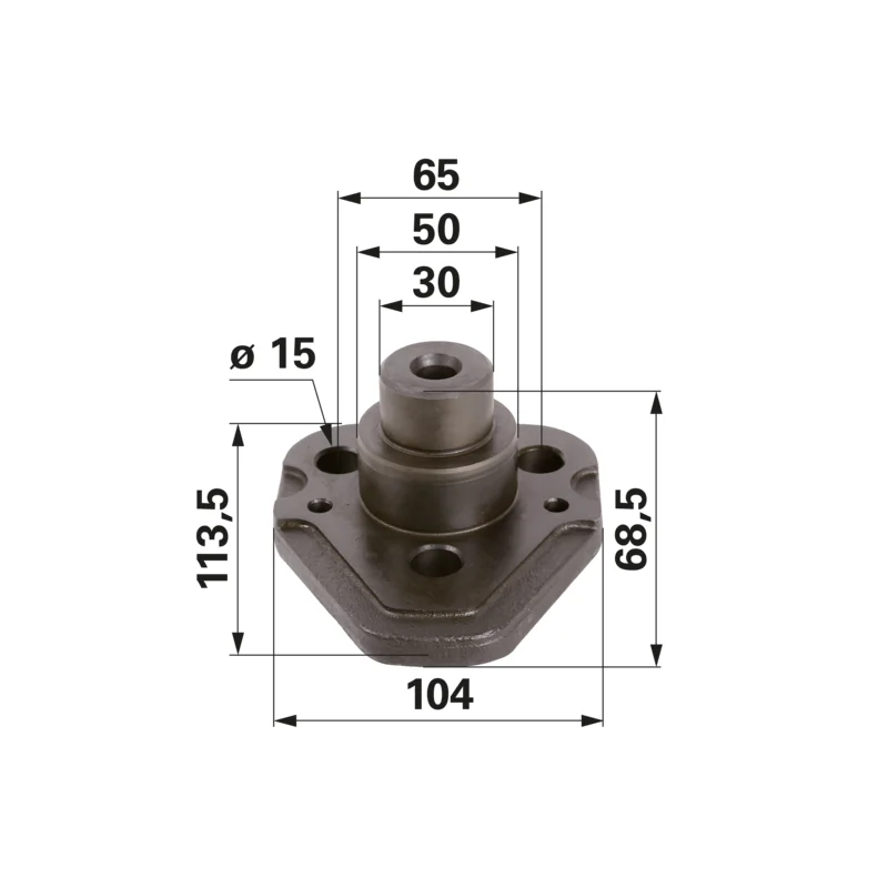 Carraro Achsen - C136667 - Lagerbolzen