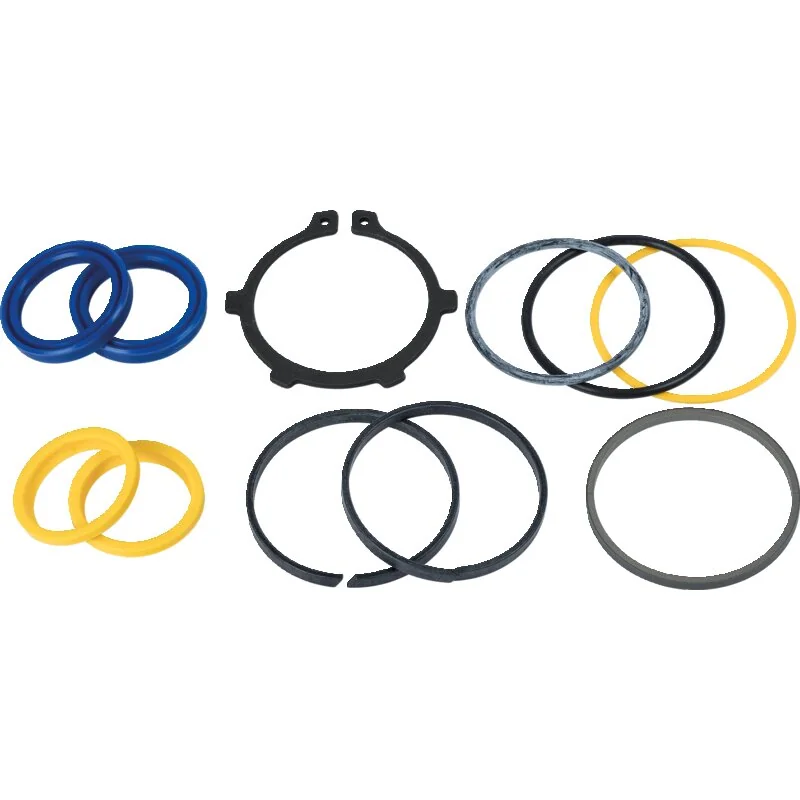 Dana Spicer - AL211658 - Seal Kits