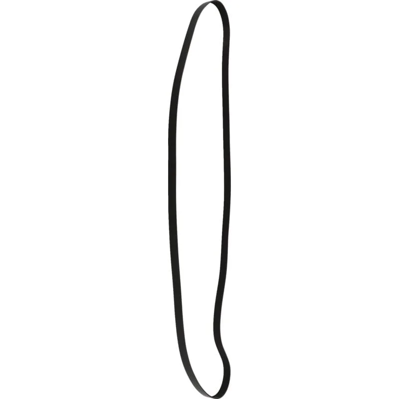 INA