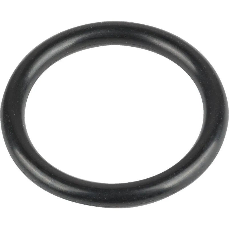 Rapid - 102555 - O-Ring