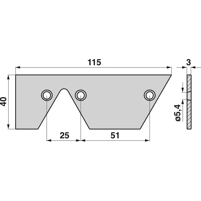 Rasspe