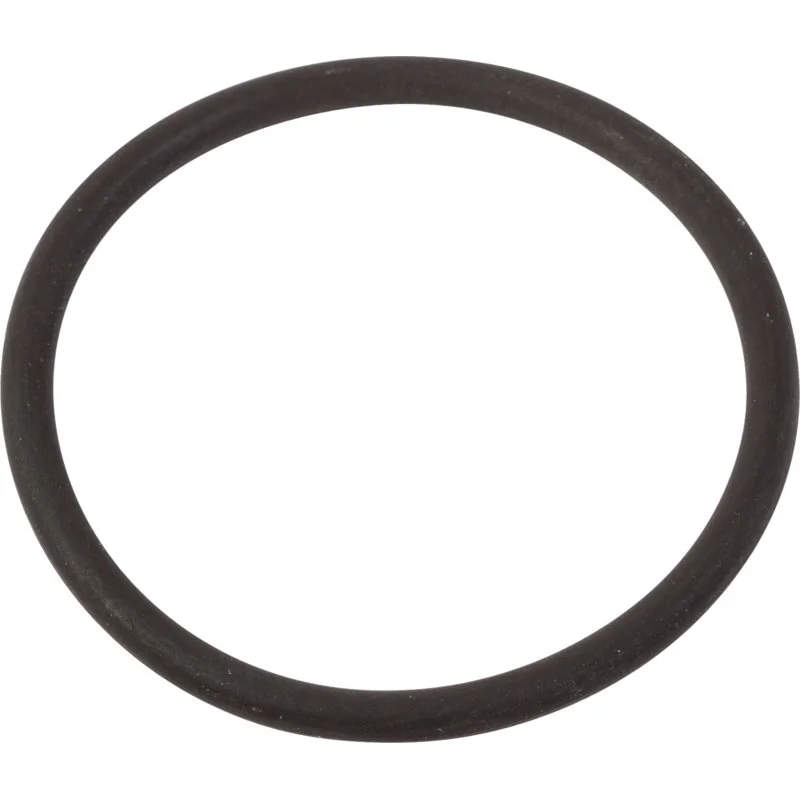 Rau - 00037628 - O-Ring