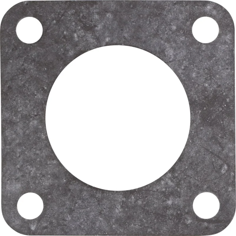 Rau - 00051859 - Flanschdichtung