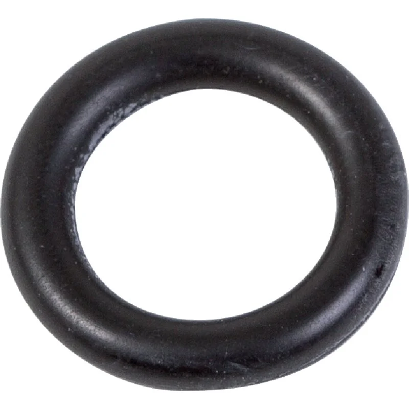 Rau - 00061493 - O-Ring