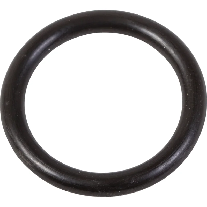 Rau - 00062185 - O-Ring