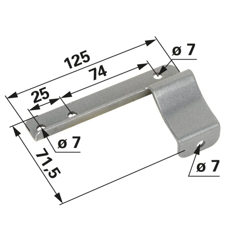 Rotax - 825370 - Filterlasche