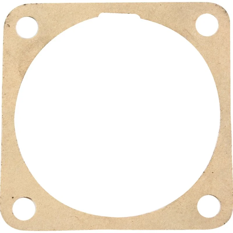 Rotax - 930550 - Zylinderflanschdichtung