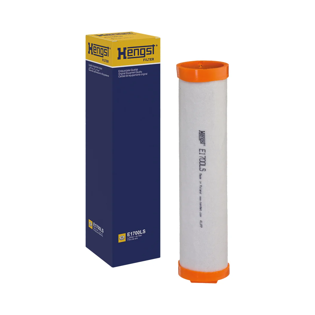 Hengst