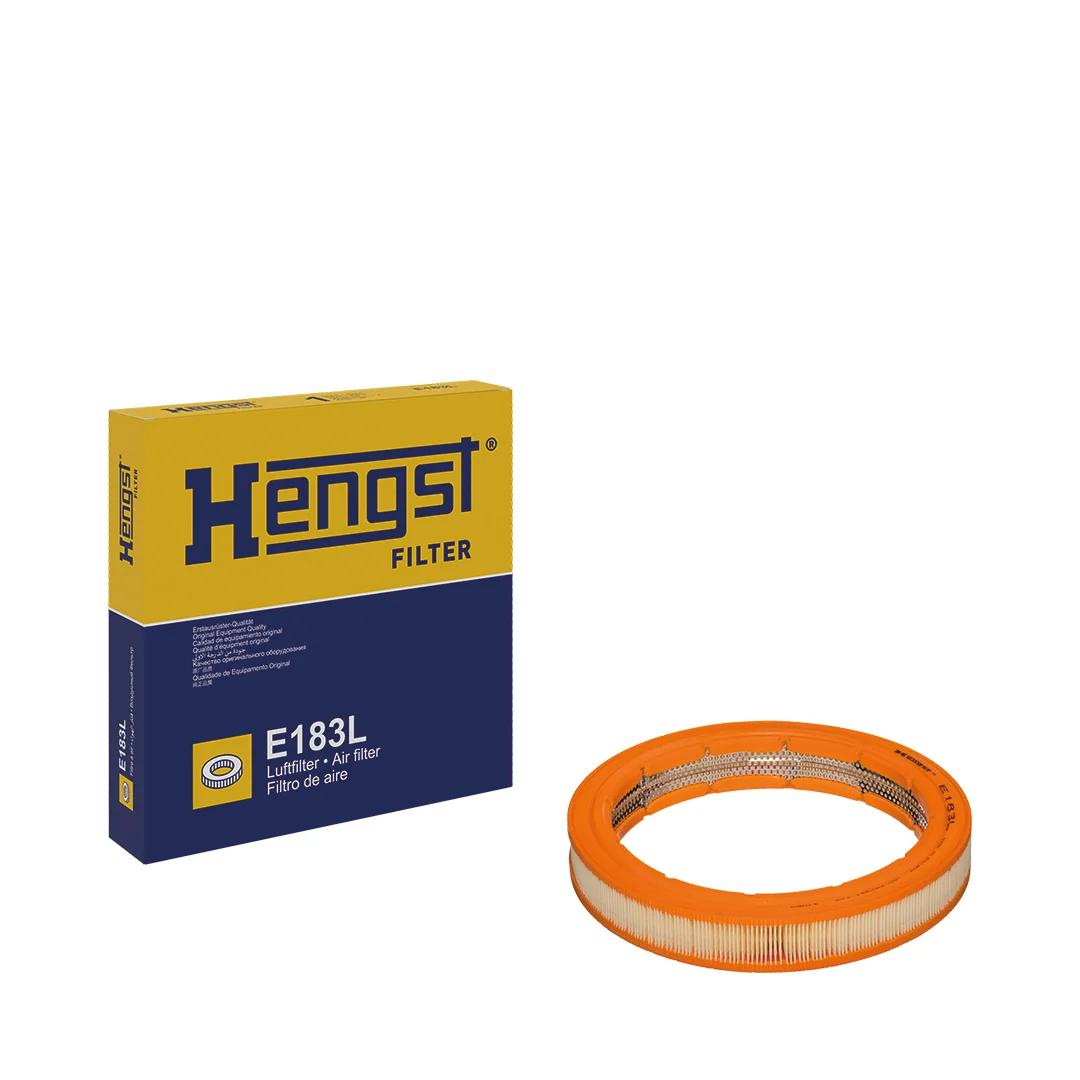 Hengst