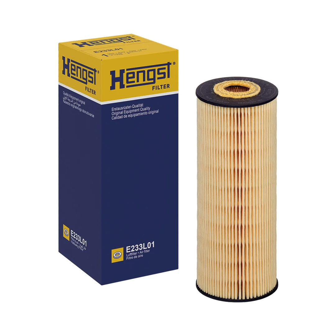 Hengst