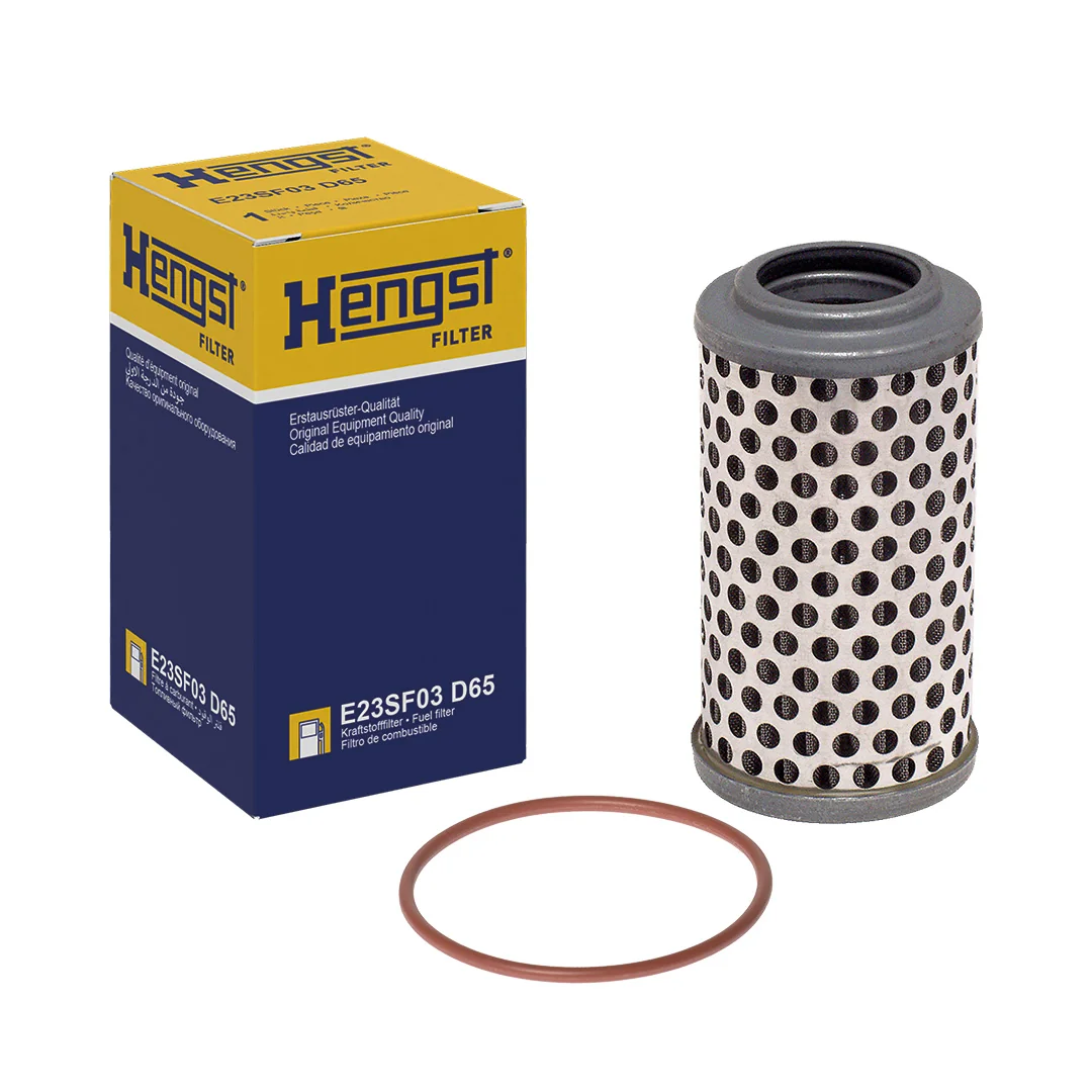 Hengst