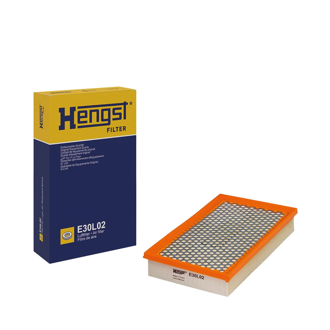 Hengst