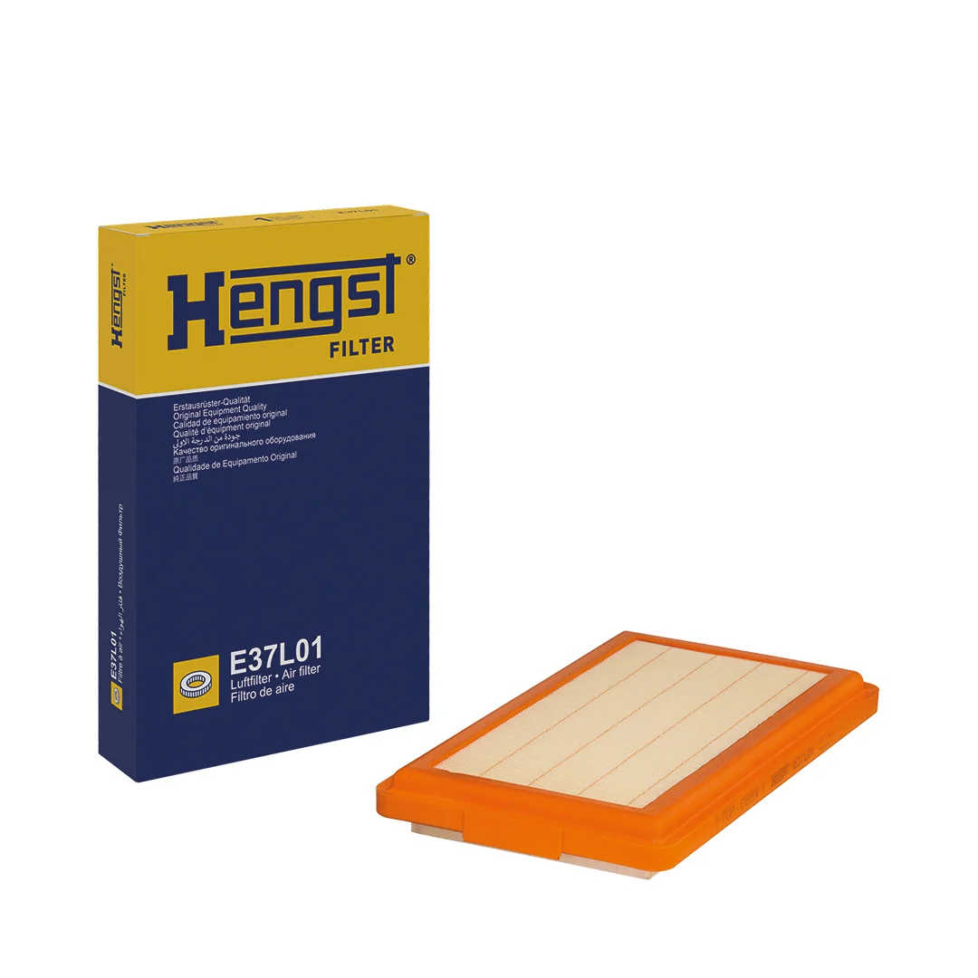Hengst