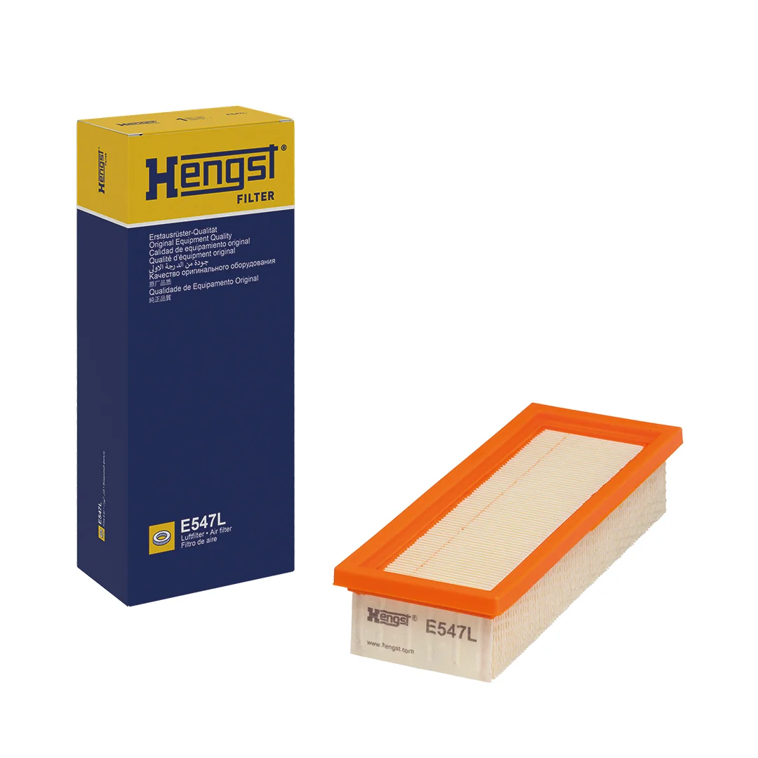Hengst