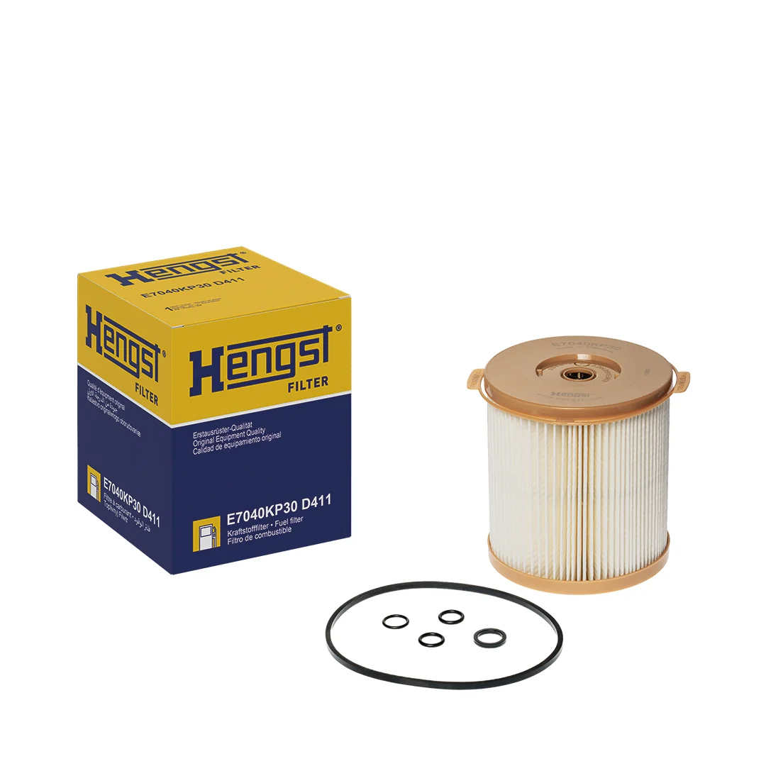 Hengst
