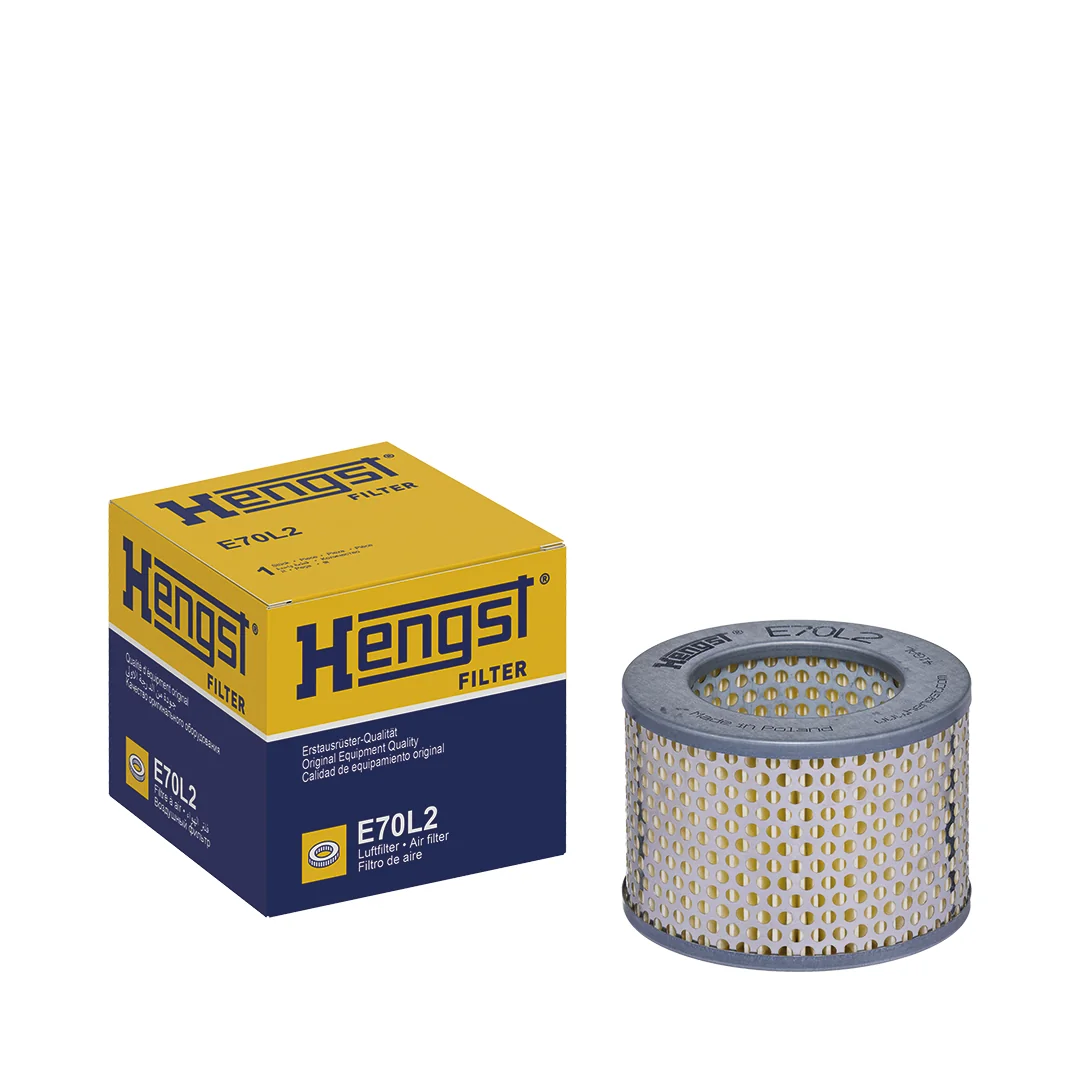 Hengst