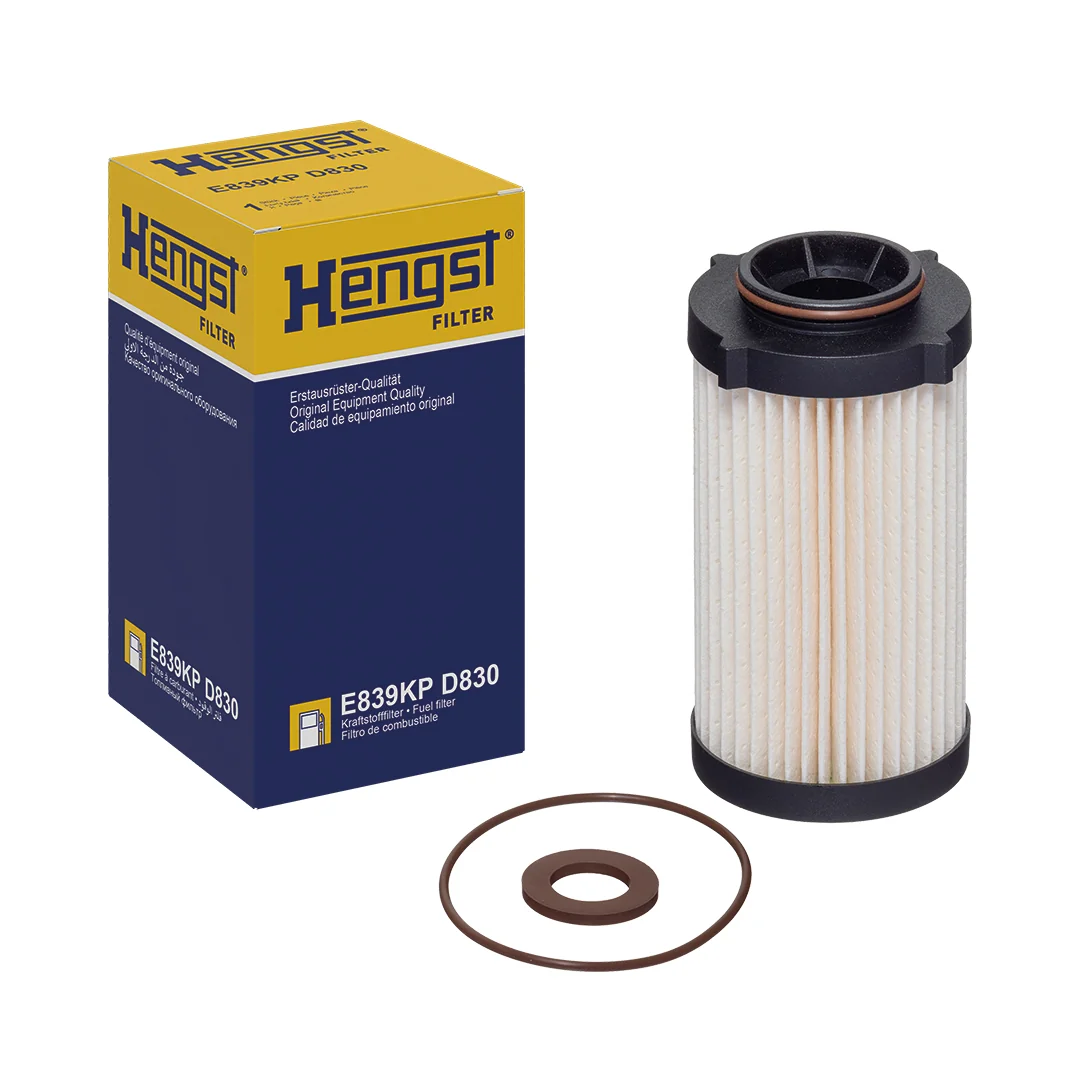 Hengst