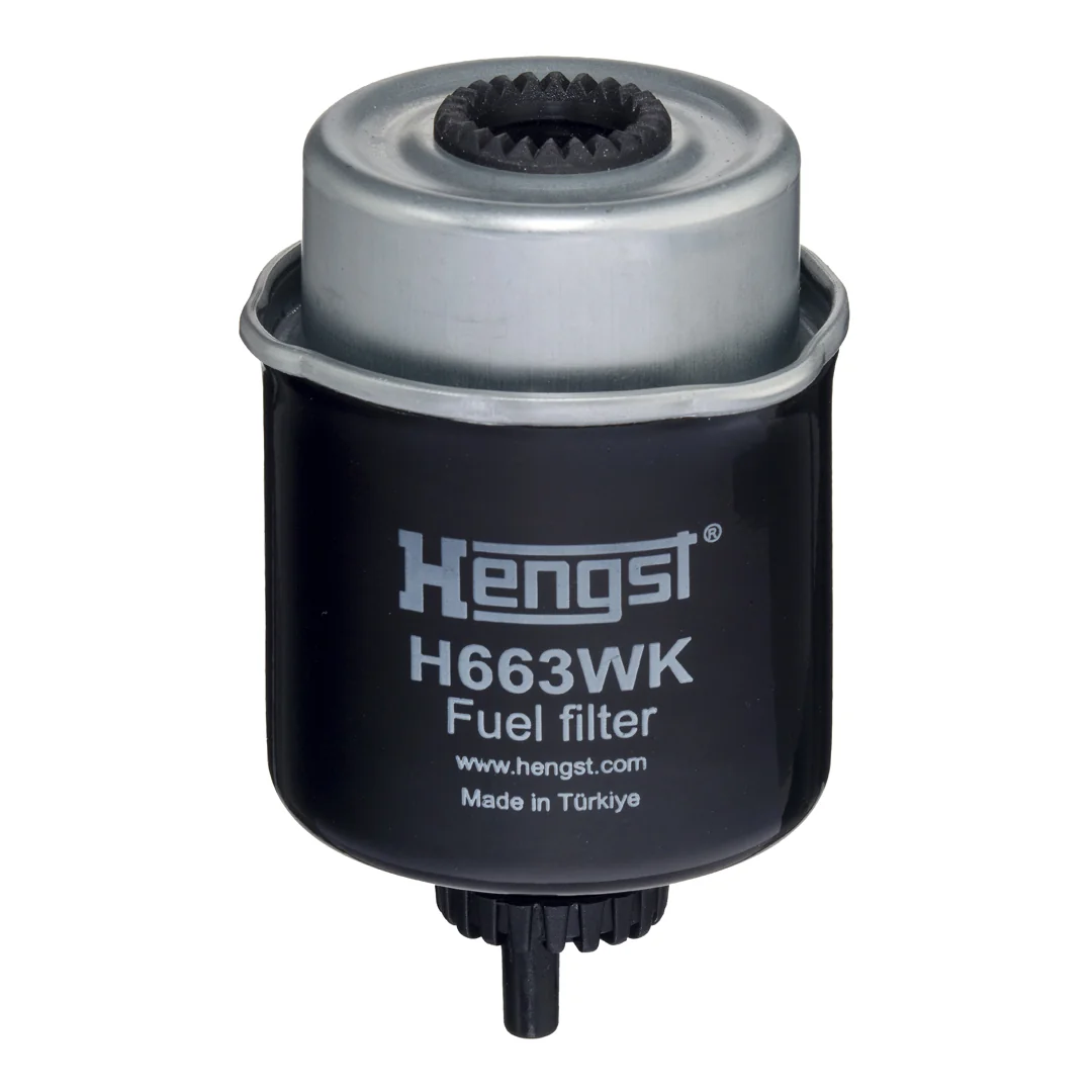 Hengst