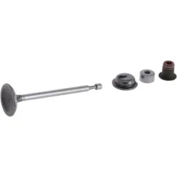 Briggs And Stratton - 590530 - Einlassventil