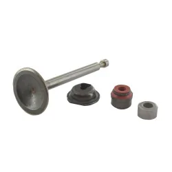 Briggs And Stratton - 594094 - Einlassventil