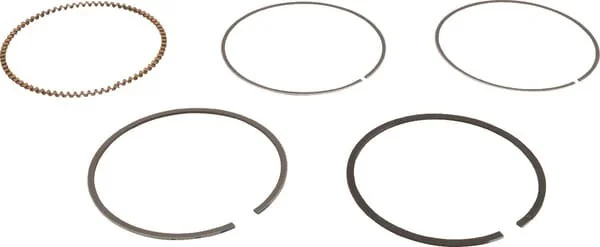 Briggs And Stratton - 843806 - Ringsatz