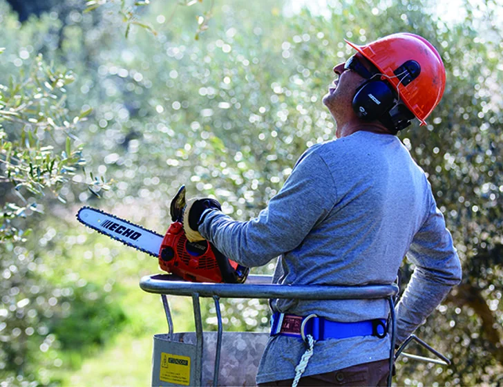 Echo - CS280TES25 - Top-Handling-Kettensäge 26,9 ccm, 25 cm Schwert