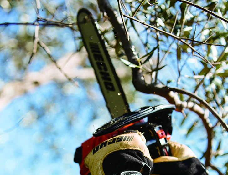 Echo - CS280TES25 - Top-Handling-Kettensäge 26,9 ccm, 25 cm Schwert