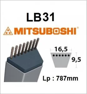 Mitsuboshi - LB31 - Riemen