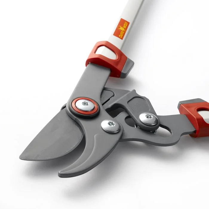 Outils Wolf - OS650 - Astschere Cut Free