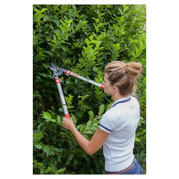 Outils Wolf - OS650 - Astschere Cut Free