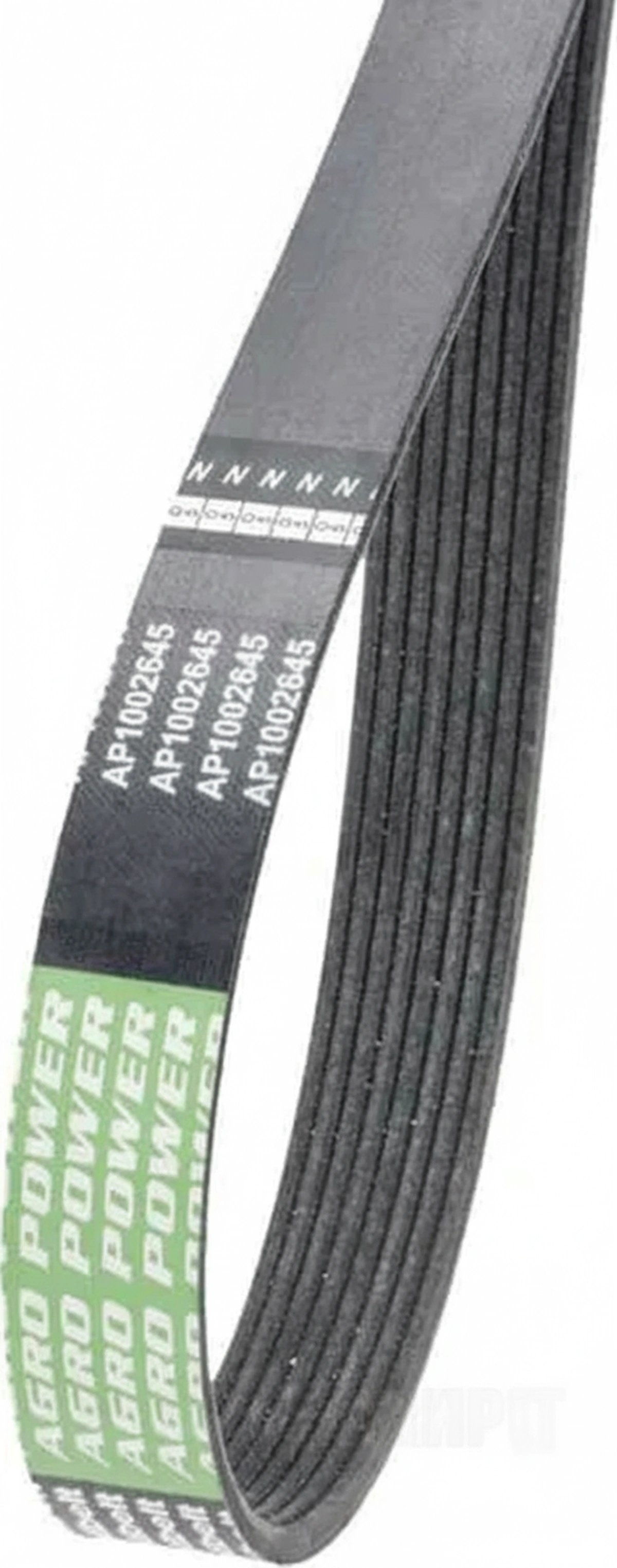 Kramp - 84412878AB - Rippenriemen
