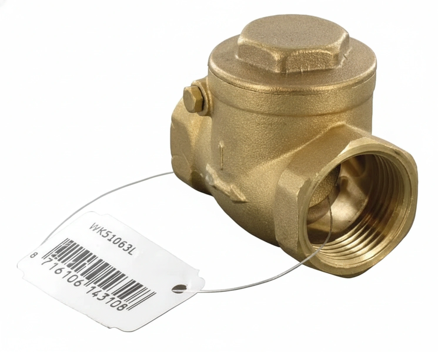 Kramp - WK51063L - Horizontales Rückschlagventil mit Innengewinde, 1 Zoll