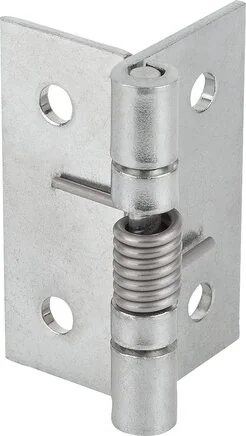 Norelem - 27900-250500 - Feder-Scharnier