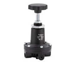 Norgren - 11-204-006 - Druckregler 40-16 G1/4