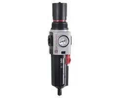 Norgren - B84G-3AK-AP3-RFN - Filterregler Excelon Plus