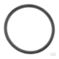 Massey Ferguson - 3014537X1 - O-Ring