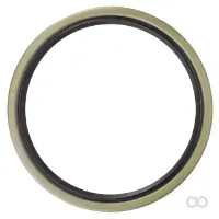 Massey Ferguson - 395527X1 - Radialer Dichtring