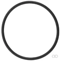 Massey Ferguson - 4300210M1 - O-Ring